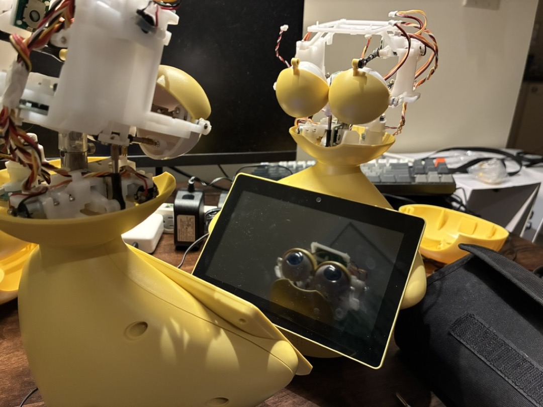 the recipient Mabu, now with both eyes working, contemplates her reflection in the black mirror of her donor